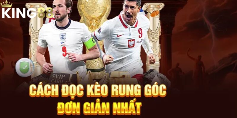 Cách bắt kèo Rung dễ thắng nhất cho người mới chơi