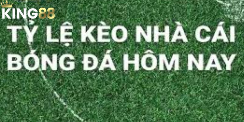 Tỷ Lệ Kèo Nhà Cái – Chìa Khóa Dẫn Lối Mọi Thành Công 2 Hướng dẫn cách hiểu tỷ lệ kèo nhà cái cho người mới